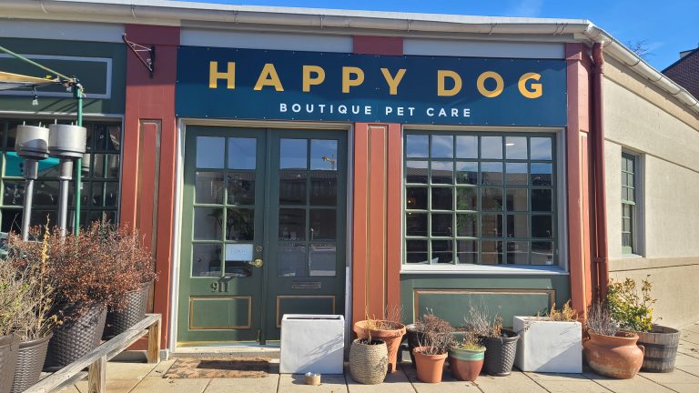 happy dog fells 768x432